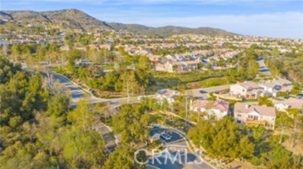 27211 Tube Rose Street Photo