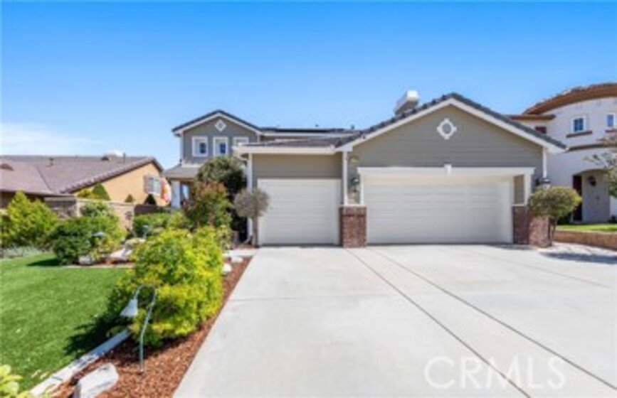 27708 Elderberry Photo