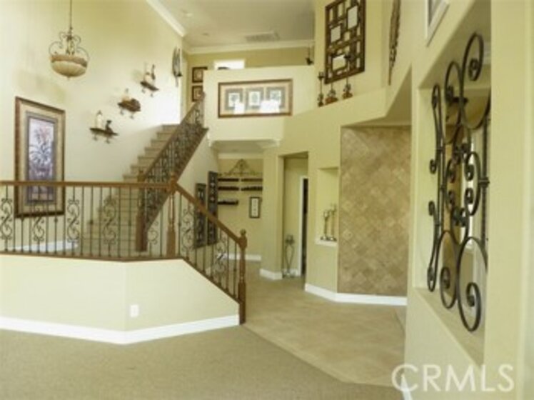 27182 Tube Rose Street Photo