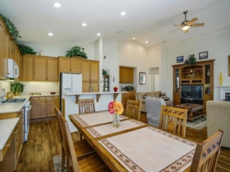 26655 Chamomile Photo